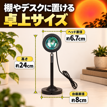 高さ約24cm、台座直径約8cm、ヘッド直径約6.7cm。